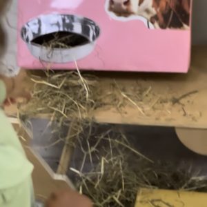 Atelier Sensorial A QUINTA - 10 de janeiro